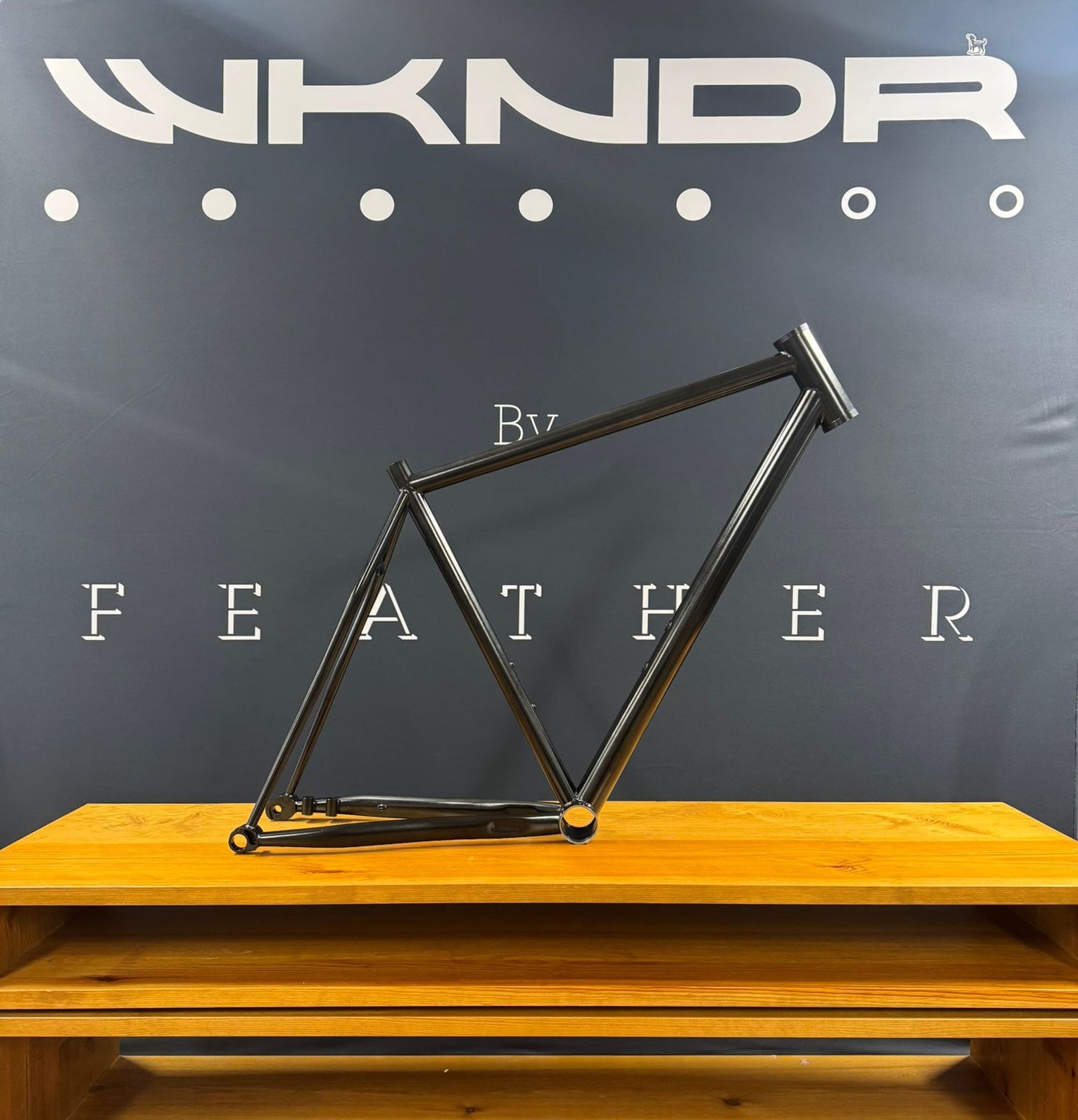 HSG Prototype Frame 56cm